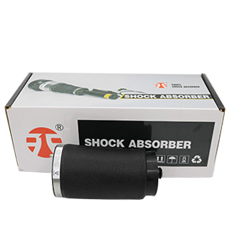 Rear Left Air Shock Suspension Spring Compatible with BMW X5(E53) 2000-2006